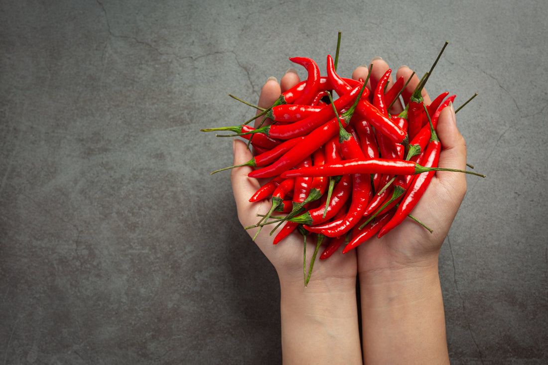 Do You Know Sambal Helps to Increase Immunity?